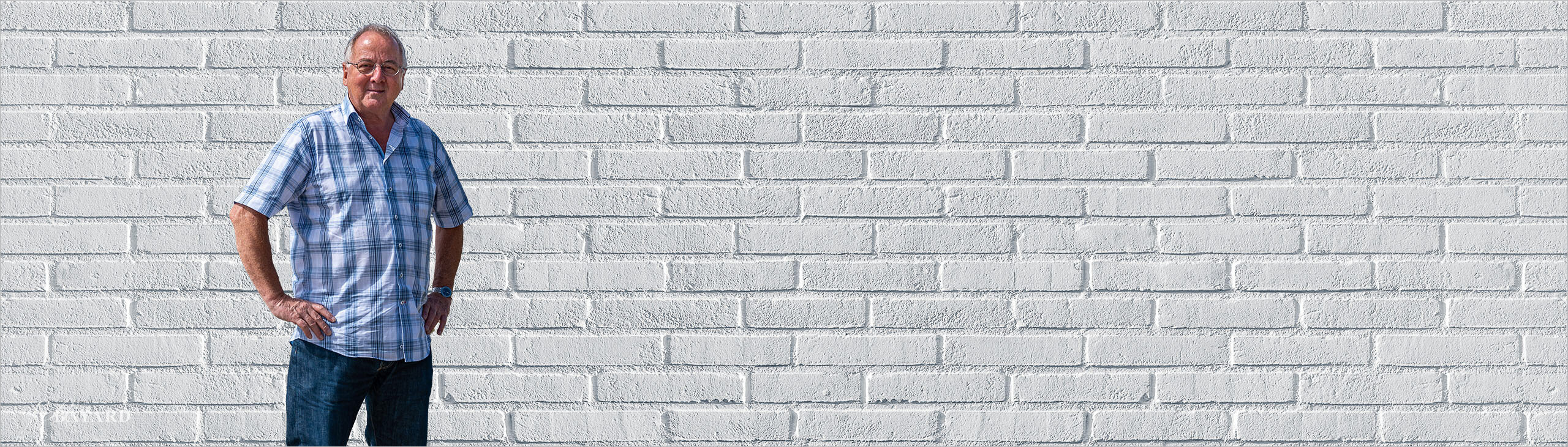 Robert Bayard Robert Bayard